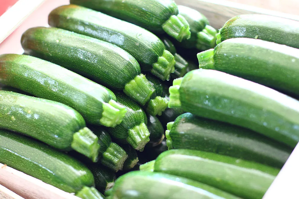 azienda produttrice di zucchine a verona, zucchine verdi a verona, fiori di zucchine a verona, zucchine in fiore, verona, zucchine bianche verona, certificazioni zucchine verona, La zucchina di Turina, zucchine a verona, vendita di zucchine a Verona, fragole, la zuccherina di turina