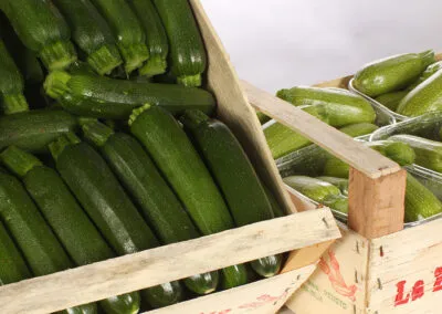 azienda produttrice di zucchine a verona, zucchine verdi a verona, fiori di zucchine a verona, zucchine in fiore, verona, zucchine bianche verona, certificazioni zucchine verona, La zucchina di Turina, zucchine a verona, vendita di zucchine a Verona, fragole, la zuccherina di turina