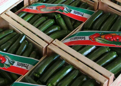 azienda produttrice di zucchine a verona, zucchine verdi a verona, fiori di zucchine a verona, zucchine in fiore, verona, zucchine bianche verona, certificazioni zucchine verona, La zucchina di Turina, zucchine a verona, vendita di zucchine a Verona, fragole, la zuccherina di turina