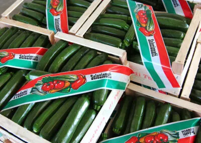 azienda produttrice di zucchine a verona, zucchine verdi a verona, fiori di zucchine a verona, zucchine in fiore, verona, zucchine bianche verona, certificazioni zucchine verona, La zucchina di Turina, zucchine a verona, vendita di zucchine a Verona, fragole, la zuccherina di turina