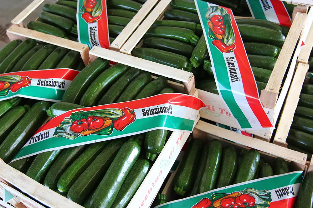 azienda produttrice di zucchine a verona, zucchine verdi a verona, fiori di zucchine a verona, zucchine in fiore, verona, zucchine bianche verona, certificazioni zucchine verona, La zucchina di Turina, zucchine a verona, vendita di zucchine a Verona, fragole, la zuccherina di turina