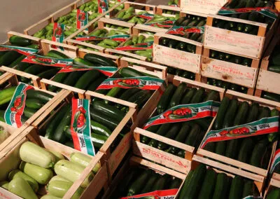 azienda produttrice di zucchine a verona, zucchine verdi a verona, fiori di zucchine a verona, zucchine in fiore, verona, zucchine bianche verona, certificazioni zucchine verona, La zucchina di Turina, zucchine a verona, vendita di zucchine a Verona, fragole, la zuccherina di turina