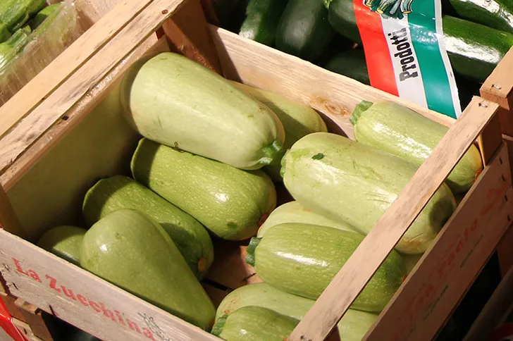 azienda produttrice di zucchine a verona, zucchine verdi a verona, fiori di zucchine a verona, zucchine in fiore, verona, zucchine bianche verona, certificazioni zucchine verona, La zucchina di Turina, zucchine a verona, vendita di zucchine a Verona, fragole, la zuccherina di turina
